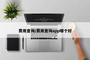 费用查询/费用查询app哪个好