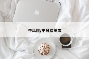 中风险/中风险英文