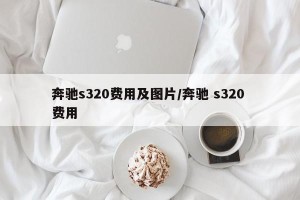 奔驰s320费用及图片/奔驰 s320 费用