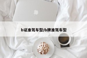 b证准驾车型/b牌准驾车型