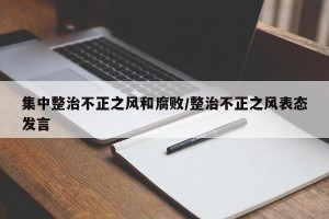 集中整治不正之风和腐败/整治不正之风表态发言